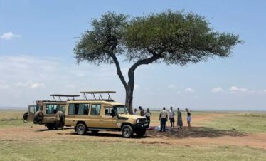 Picnic Lunch at Masai Mara National Reserve