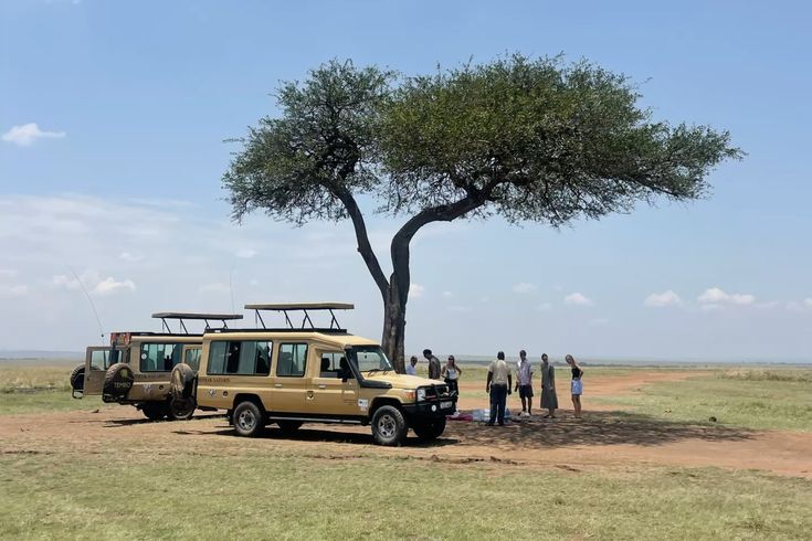 Picnic Lunch at Masai Mara National Reserve