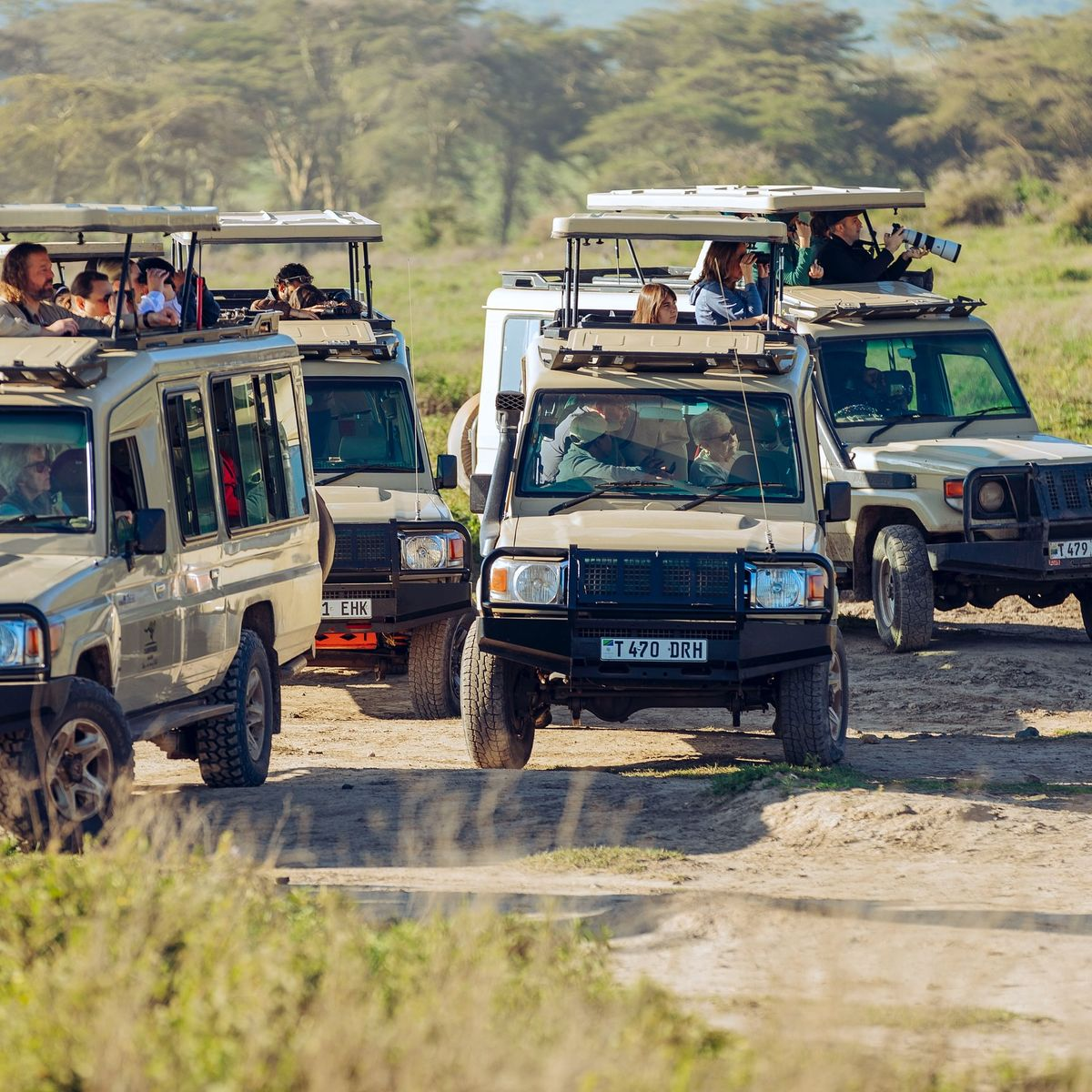 Game drives