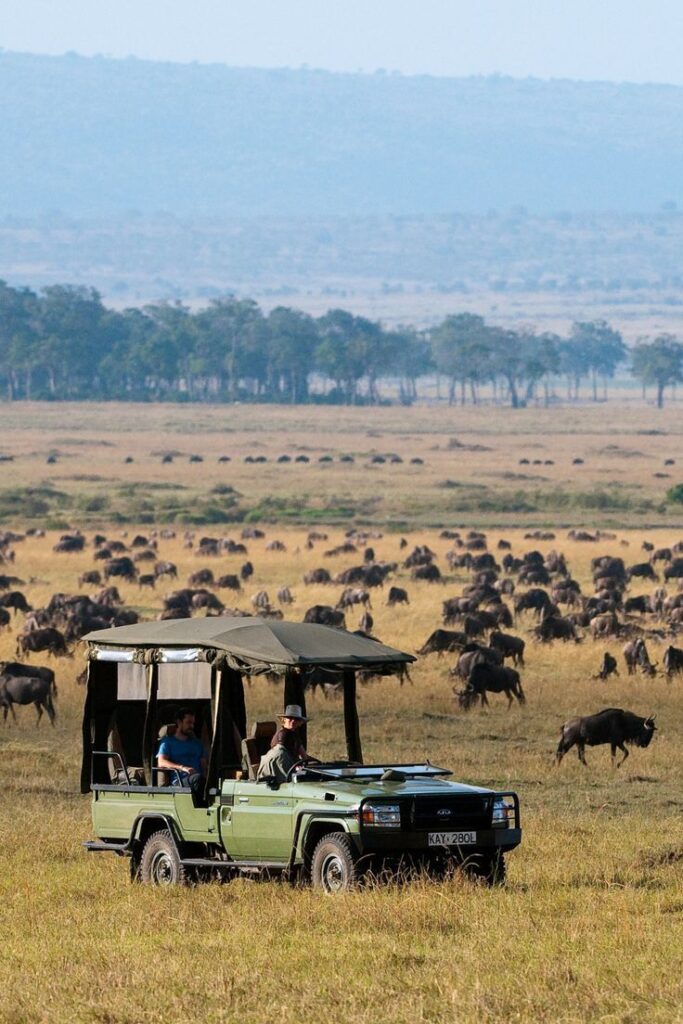 Masai Mara National Reserve safari