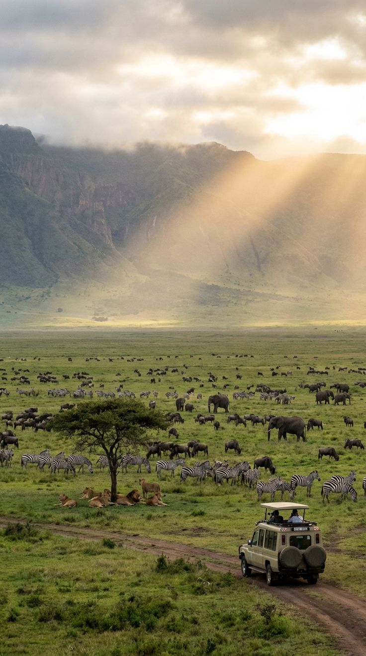 How to Choose the Right Safari Operator