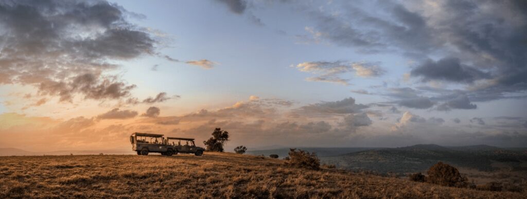 Borana Conservancy – A Premier Luxury Safari Destination in Kenya’s Laikipia Wilderness