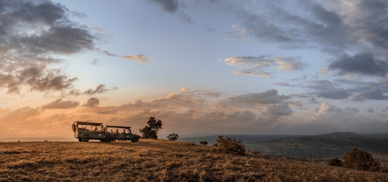 Borana Conservancy – A Premier Luxury Safari Destination in Kenya’s Laikipia Wilderness