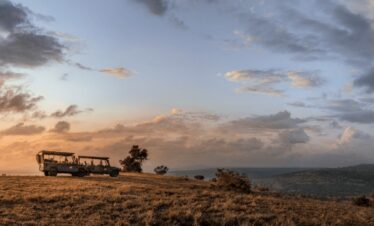What Happens on a Typical Safari Day
