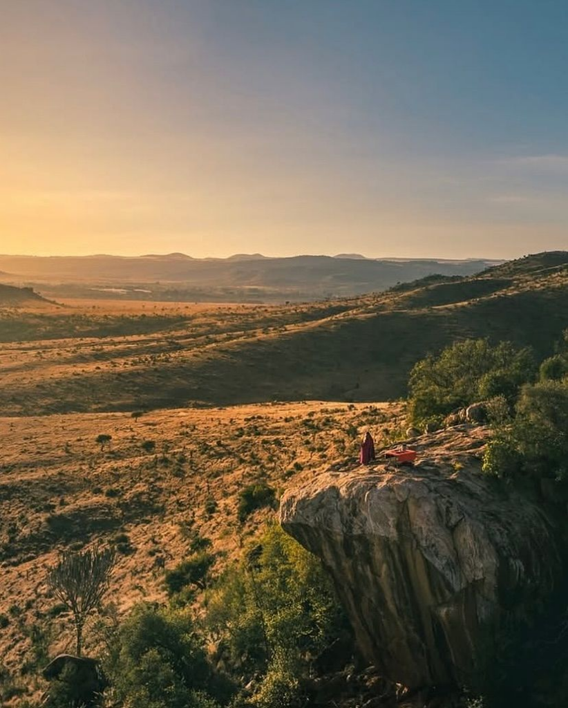 Lewa Conservancy: A Model of Conservation, Luxury Safaris, and Community Impact in Kenya