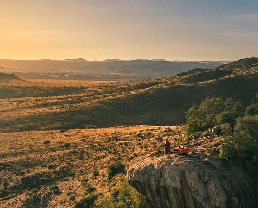 Lewa Conservancy: A Model of Conservation, Luxury Safaris, and Community Impact in Kenya