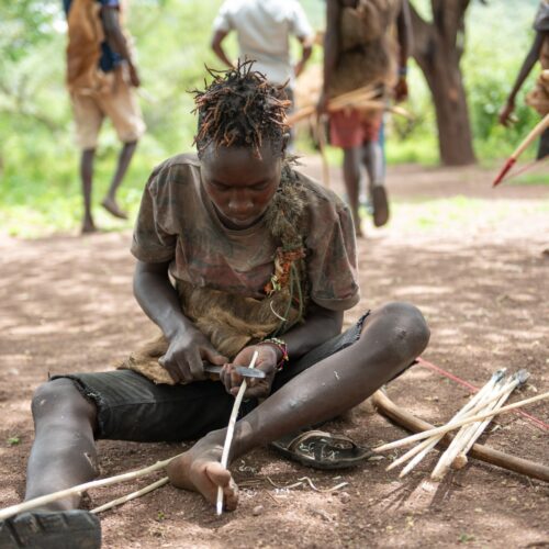 Tanzania Camping Safaris