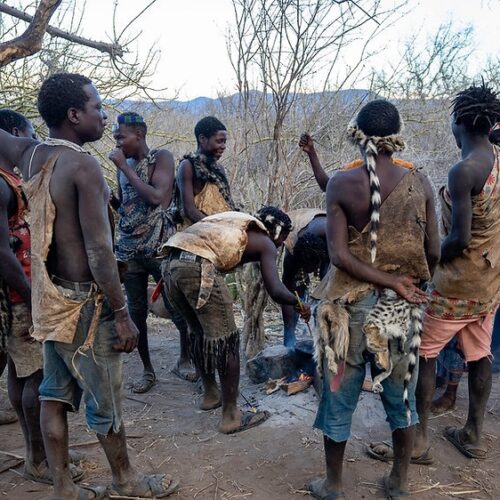 Tanzania Camping Safaris