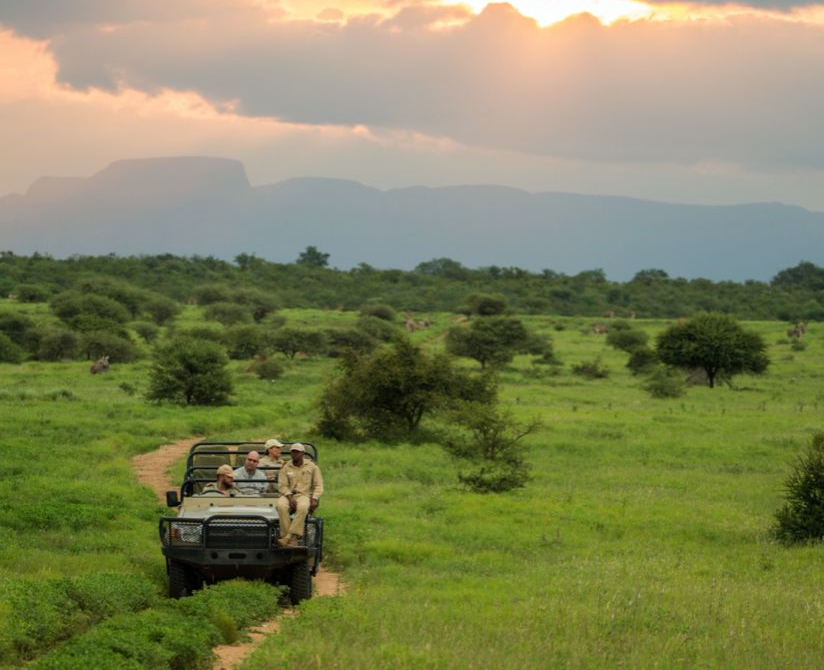 What Happens on a Typical Safari Day? A Tour Operator Explains What to Expect