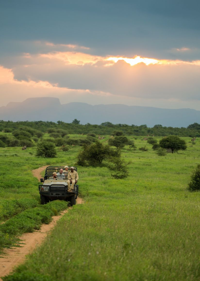 What Happens on a Typical Safari Day