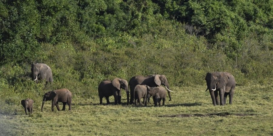 Marsabit National Park